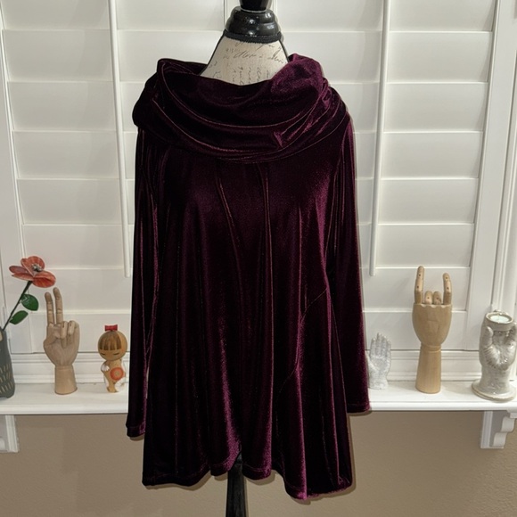 Soft Surroundings Velvet Cowl Neck Asymmetrical Tunic Top - Picture 1 of 10